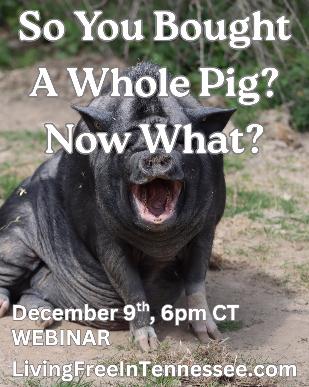 Read more about the article So You Bought A Whole Pig, Now What?